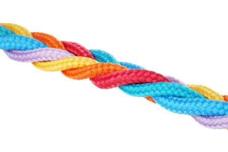 Braided colorful ropes isolated on white. Unity concept