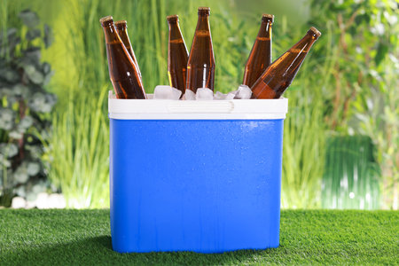 Wet beer bottles in cooler box on artificial grassの写真素材