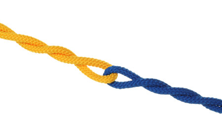Colorful ropes tied together isolated on white. Unity concept