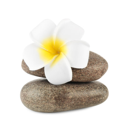 Spa stones and plumeria flower isolated on whiteの写真素材