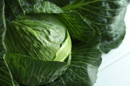 One ripe head of cabbage on white table, closeup