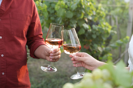 Couple clinking glasses of wine outdoors, closeupの写真素材