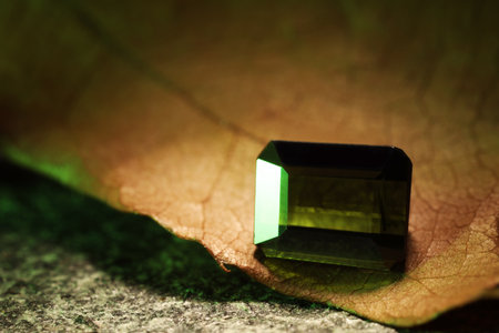 Shiny green gemstone and dry leaf on stone, closeup. Space for textの写真素材