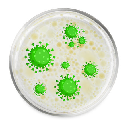Petri dish with microbes on white background, top view. Illustration of microorganismsの写真素材