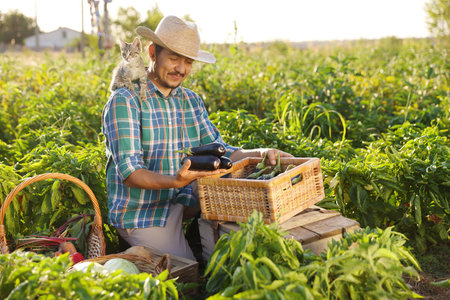 Farmer with kitten harvesting different ripe vegetables in field on sunny dayの写真素材