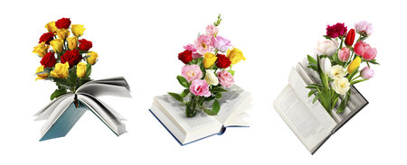 Books with beautiful flowers on white background, collageの写真素材