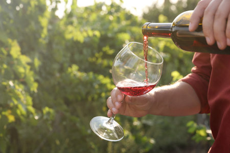 Man pouring tasty wine from bottle into glass outdoors, closeup. Space for textの写真素材