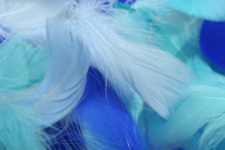 Many beautiful feathers as background, closeup viewの写真素材