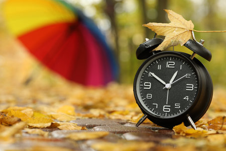 Autumn time. Alarm clock and umbrella in park, selective focus. Space for textの写真素材