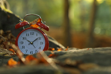 Alarm clock on fallen dry leaves and stones outdoors, closeup. Space for textの写真素材