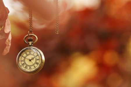 Autumn time. Chain watch hanging on tree in park, selective focus. Space for text