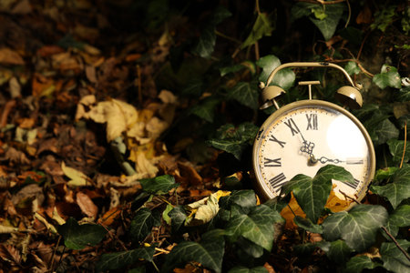 Alarm clock on fallen dry leaves outdoors, closeup.の写真素材