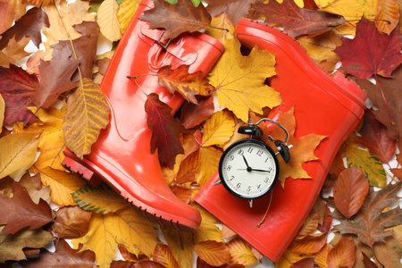 Alarm clock and rubber boots on dry leaves, flat lay