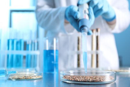 GMO concept. Scientist dripping something onto buckwheat grains at table in laboratory, closeup