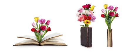 Books with beautiful flowers on white background, collageの写真素材