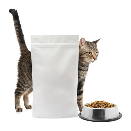 Cute cat, package and bowl of dry pet food on white backgroundの写真素材