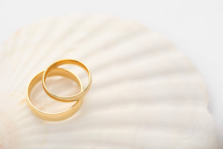 Beautiful golden wedding rings on sea shell against light background, closeup. Space for textの写真素材
