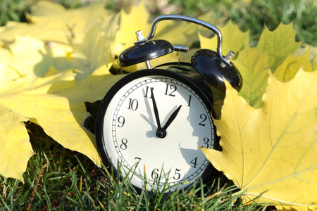 Autumn time. Alarm clock among fallen leaves on green grass, closeupの写真素材