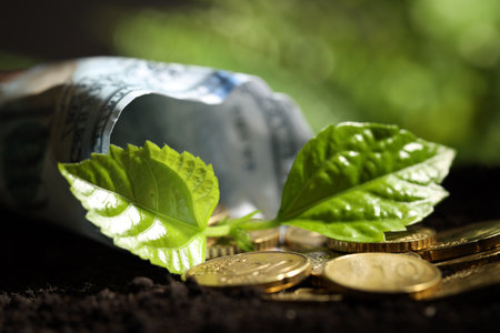 Money growth concept. Coins, dollar banknote and sprout in soil, closeupの写真素材