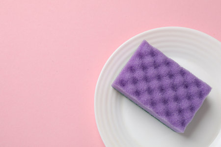Plate with sponge on pink background, top view. Space for text