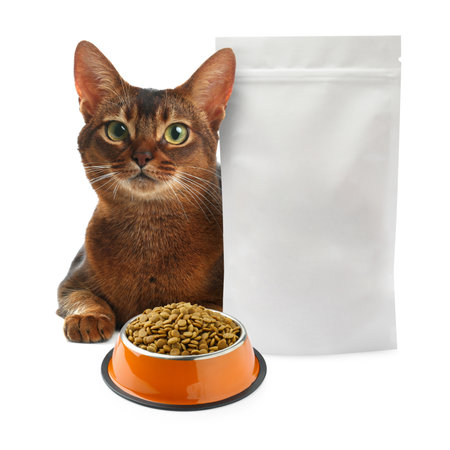 Cute cat lying near package and bowl of dry pet food on white backgroundの写真素材