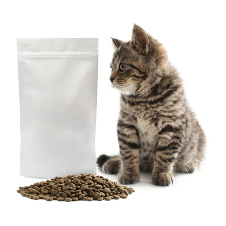 Fluffy kitten sitting near package and heap of dry pet food on white backgroundの写真素材