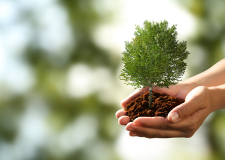 Environment and ecology concept. Woman holding soil with small tree outdoors, closeupの写真素材