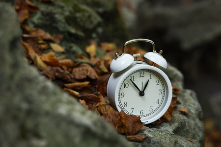 Alarm clock on fallen dry leaves and stones outdoors, closeup. Space for text