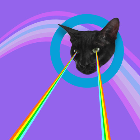 Cat shooting with rainbow lasers from eyes on colorful background, creative collage. Stylish posterの写真素材