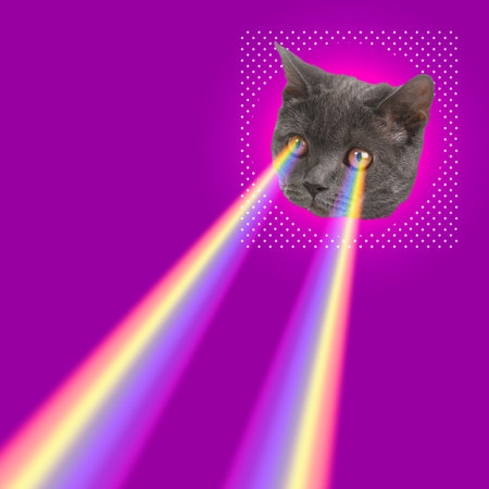 Rainbow lasers shooting from cat's eyes on purple background. Stylish posterの写真素材