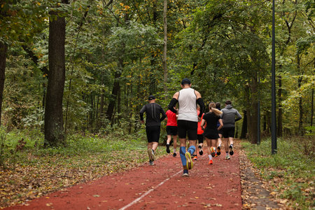 Group of people jogging together in park, back viewの写真素材