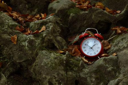 Alarm clock on fallen dry leaves and stones outdoors, closeup