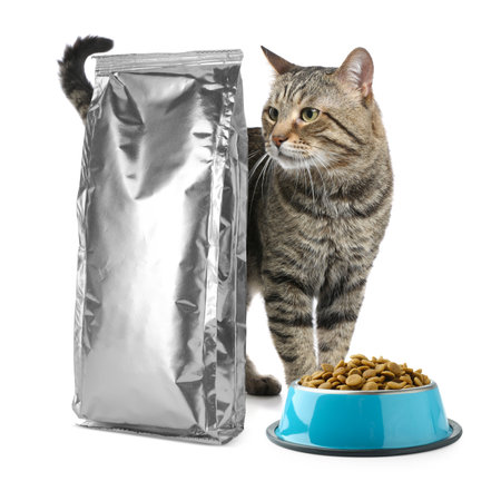 Cat, foil package and bowl of dry pet food on white backgroundの写真素材