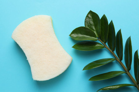 One sponge and branch with leaves on light blue background, top view