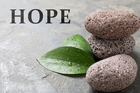 Hope. Wet stones and green leaves on gray textured surfaceの写真素材