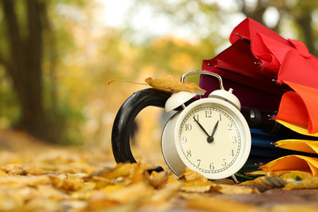 Autumn time. Alarm clock and umbrella in park, closeupの写真素材