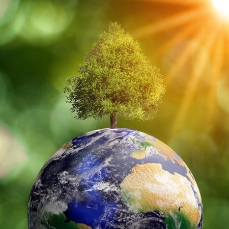 Save Earth. Tree growing on globe in sunlight on blurred green background