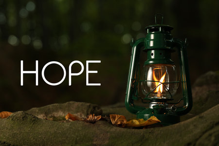 Vintage kerosene lamp near tree in forest