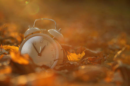 Autumn time. Alarm clock on fallen leaves outdoors, closeup with space for text