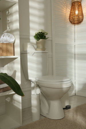 Toilet bowl, houseplant and lamp in restroomの写真素材