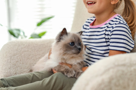 Little girl with cute kitten at home, closeupの写真素材