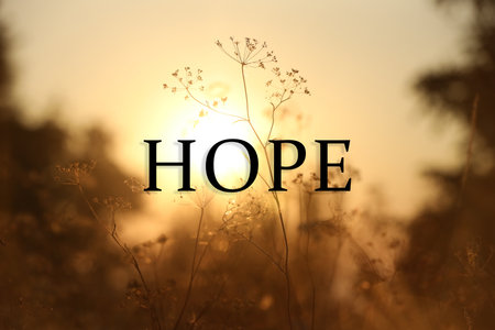 Hope. Beautiful plants at sunrise, closeup viewの写真素材