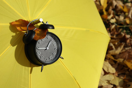 Alarm clock and yellow umbrella on dry leaves in park, closeup. Space for textの写真素材