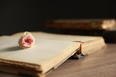 Open book with beautiful flower on wooden table, closeupの写真素材