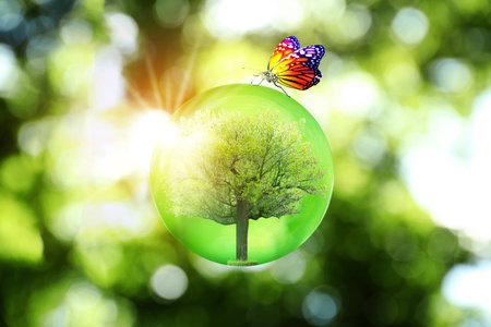 Save Earth. Butterfly on crystal globe with tree inside outdoors