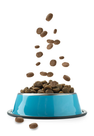 Dry pet food falling into bowl on white background