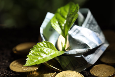 Money growth concept. Coins, dollar banknote and sprout in soil, closeupの写真素材