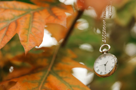 Autumn time. Chain watch on blurred background, closeup with space for textの写真素材