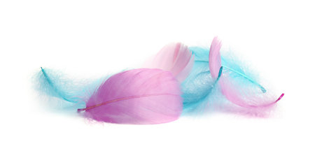 Pile of fluffy light feathers isolated on whiteの写真素材
