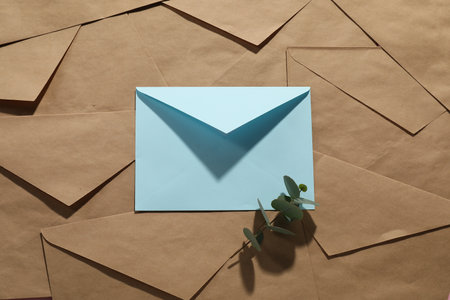 Paper envelopes and eucalyptus branch as background, top view. Mockup for design